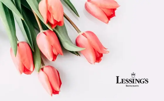 Lessings 6